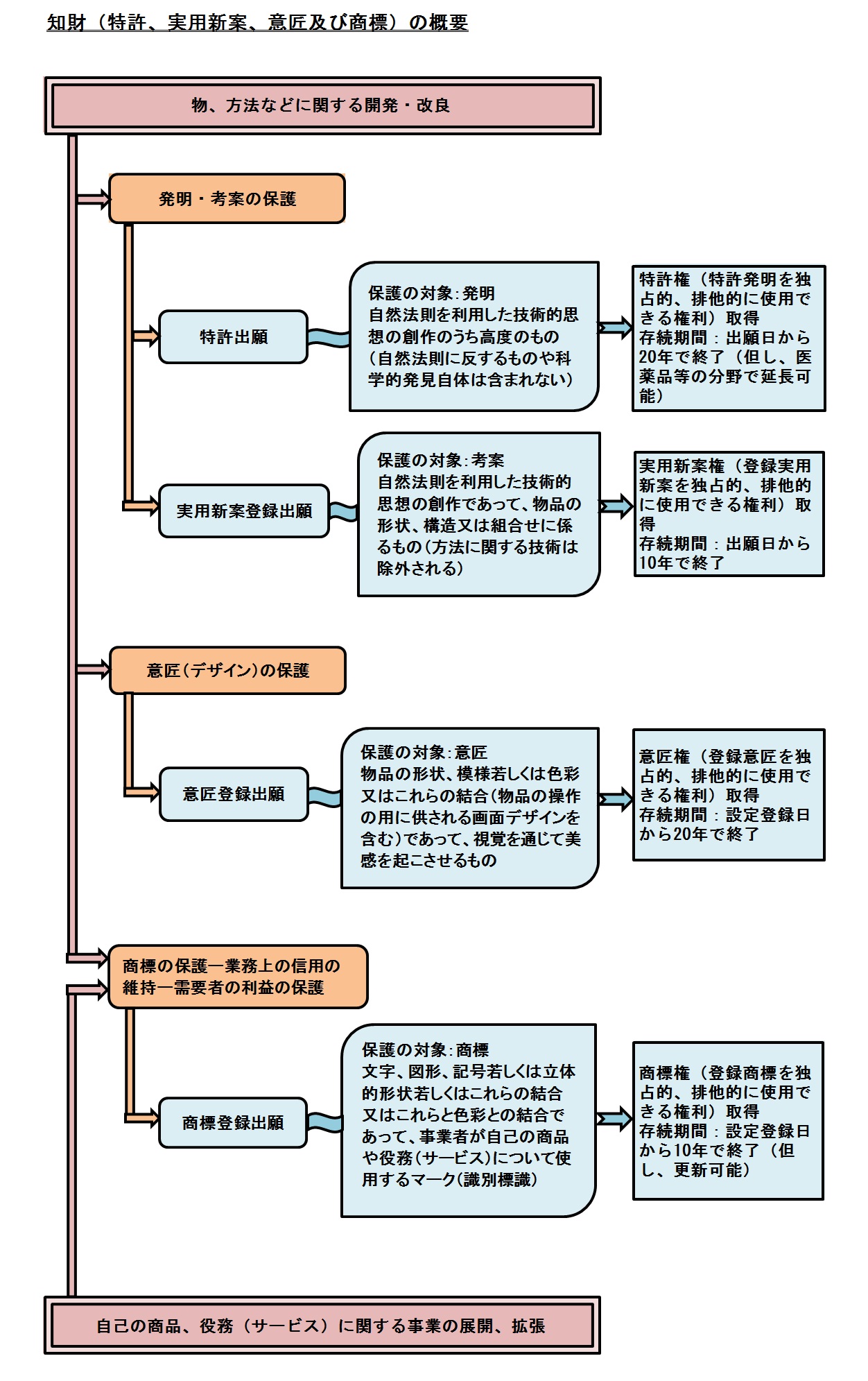 知財の概要 知財の概要